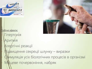 Побічні ефекти:
- Гіпертонія
- Аритмія
- Алергічні реакції
- Підвищення секреції шлунку – виразки
- Стимуляція усіх біологічних процесів в організмі
- Місцеве почервоніння, набряк
 