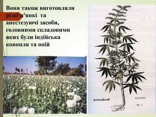Вони також виготовляли
різні п'янкі та
анестезуючі засоби,
головними складовими
яких були індійська
конопля та опій
 