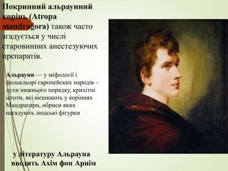 Покринний альраунний
корінь (Atropa
mandragora) також часто
згадується у числі
старовинних анестезуючих
препаратів.
Альрауни — у міфології і
фолькльорі європейских народів –
духи нижнього порядку, крихітні
істоти, які мешкають у коріннях
Мандрагори, обриси яких
нагадують людські фігурки
у літературу Альрауна
вводить Ахім фон Арнім
 