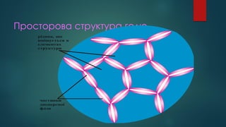 Просторова структура гелю
частинки
дисперсної
фази
рідина, що
вміщується в
елементах
структури
 