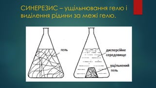 СИНЕРЕЗИС – ущільнювання гелю і
виділення рідини за межі гелю.
 