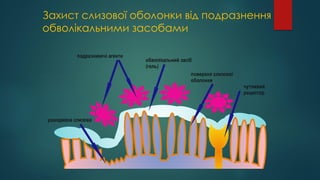 Захист слизової оболонки від подразнення
обволікальними засобами
ушкоджена слизова
подразнюючі агенти
поверхня слизової
оболонки
чутливий
рецептор
обволікальний засіб
(гель)
 