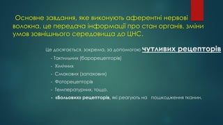 Основне завдання, яке виконують аферентні нервові
волокна, це передача інформації про стан органів, зміни
умов зовнішнього середовища до ЦНС.
Це досягається, зокрема, за допомогою чутливих рецепторів
- Тактильних (барорецепторів)
- Хімічних
- Смакових (запахових)
- Фоторецепторів
- Температурних, тощо.
- «Больових» рецепторів, які реагують на пошкодження тканин.
 