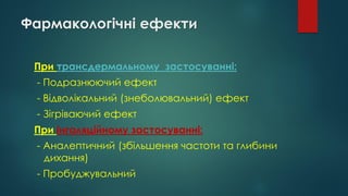 Фармакологічні ефекти
При трансдермальному застосуванні:
- Подразнюючий ефект
- Відволікальний (знеболювальний) ефект
- Зігріваючий ефект
При інгаляційному застосуванні:
- Аналептичний (збільшення частоти та глибини
дихання)
- Пробуджувальний
 