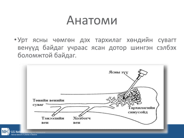 уян зүү, ясны хатгалт, шингэн сэлбэлт.pptx