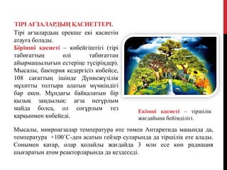 ТІРІ АҒЗАЛАРДЫҢ ҚАСИЕТТЕРІ.
Мысалы, микроағзалар температура өте төмен Антарктида маңында да,
температура +100˚С-ден асатын гейзер суларында да тіршілік ете алады.
Сонымен қатар, олар қолайлы жағдайда 3 млн есе көп радиация
шығаратын атом реакторларында да кездеседі.
Тірі ағзалардың ерекше екі қасиетін
атауға болады.
Бірінші қасиеті – көбейгіштігі (тірі
табиғаттың өлі табиғаттан
айырмашылығын естеріңе түсіріңдер).
Мысалы, бактерия кедергісіз көбейсе,
108 сағаттың ішінде Дүниежүзілік
мұхитты толтыра алатын мүмкіндігі
бар екен. Мұндағы байқалатын бір
қызық заңдылық: ағза неғұрлым
майда болса, ол соғұрлым тез
қарқынмен көбейеді.
Екінші қасиеті – тіршілік
жағдайына бейімділігі.
 