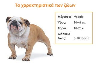 Τα χαρακτηριστικά των ζώων
 