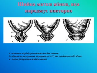 Фізіологія пологів.ppt