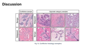 Fig 13. Conflictive histology exemplars.
Discussion
 