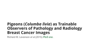 Pigeons (Columba livia) as Trainable
Observers of Pathology and Radiology
Breast Cancer Images
Richard M. Levenson et al.(2015) PloS one.
 