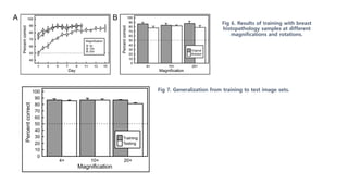 Fig 6. Results of training with breast
histopathology samples at different
magnifications and rotations.
Fig 7. Generalization from training to test image sets.
 