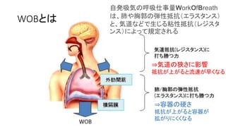 WOBの考え方（Nunnらの学説）
WOBE=V(一回換気量)×E（エラスタンス）
WOBR=V(気道流速) ×R（レジスタンス）
WOB=WOBE+WOBR
集中治療学会専門医テキスト
・
 