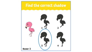 Познай сянката.ppt