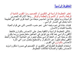 ‫الرأسية‬ ‫الخطوط‬
‫الن‬ ‫للقوى‬ ‫رمزا‬ ‫التصميم‬ ‫أو‬ ‫التكوين‬ ‫في‬ ‫الرأسية‬ ‫الخطوط‬ ‫تعتبر‬
‫أو‬ ‫امية‬
‫الشموخ‬ ‫أو‬ ‫والسمو‬ ‫الرفعة‬
‫والعظ‬
‫م‬
‫ة‬
‫والوقار‬
,
‫البصري‬ ‫اإلدراك‬ ‫وهذا‬
‫ف‬ ‫النمو‬ ‫قوى‬ ‫اتجاه‬ ‫من‬ ‫مبعثه‬ ‫أحاسيس‬ ‫من‬ ‫عنه‬ ‫ينبثق‬ ‫وما‬ ‫للرأسيات‬
‫الطبيعة‬ ‫ي‬
‫الرأسي‬ ‫المسار‬ ‫في‬ ‫يتمثل‬ ‫دائما‬
.
‫اعلى‬ ‫يتجه‬ ‫نموه‬ ‫في‬ ‫عادة‬ ‫فنبات‬
‫ال‬ ‫قوام‬ ‫هي‬ ‫التى‬ ‫الشمس‬ ‫ضوء‬ ‫نحو‬
‫حياة‬
‫للنبات‬ ‫بالنسبة‬
‫واالنسان‬
,
.
‫ف‬ ‫بالتوازن‬ ‫االحساس‬ ‫على‬ ‫يعمل‬ ‫واالفقية‬ ‫الرأسية‬ ‫الخطوط‬ ‫تالقي‬
‫الخط‬
‫ورب‬ ‫متعارضين‬ ‫اتجاهين‬ ‫في‬ ‫قوتين‬ ‫بين‬ ‫لقاء‬ ‫هما‬ ‫والراسي‬ ‫االفقي‬
‫يكون‬ ‫ما‬
‫األرضي‬ ‫الجاذبية‬ ‫عن‬ ‫تعبيره‬ ‫بحكم‬ ‫الراسي‬ ‫الخط‬ ‫أن‬ ‫إلى‬ ‫مرجعه‬ ‫ذلك‬
‫والخط‬ ‫ة‬
‫في‬ ‫دورا‬ ‫يلعبان‬ ‫والتسطيح‬ ‫االستقرار‬ ‫عن‬ ‫تعبيره‬ ‫بحكم‬ ‫االفقي‬
‫اثارة‬
‫االحساس‬
‫بالتوازن‬
‫القوى‬ ‫في‬
.
‫متك‬ ‫صورة‬ ‫في‬ ‫التصميم‬ ‫او‬ ‫التكوين‬ ‫في‬ ‫الطولية‬ ‫الخطوط‬ ‫استخدام‬
‫يزيد‬ ‫ررة‬
‫الخطوط‬ ‫لعالقات‬ ‫والصالبة‬ ‫بالقوة‬ ‫االحساس‬
.
 