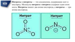 НИТРАТЫ НИТРИТЫ.pptx | Free Download