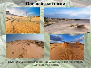 Олешківські піски
Друга набільша пустеля в Європі – це Олешківські піски, які займають
1600 квадратних метрів.
 