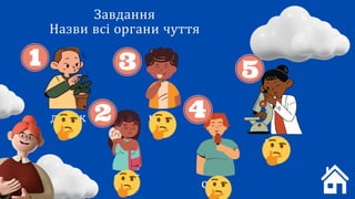 Завдання
Назви всі органи чуття
нюх
смак
слух
зір
дотик
 