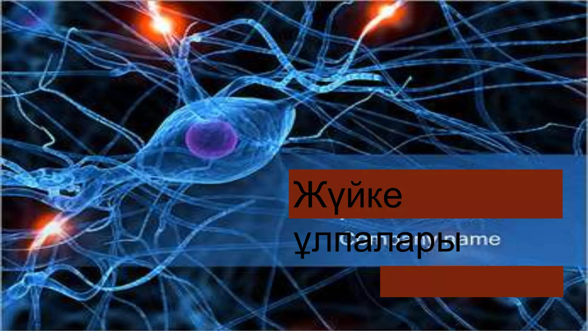 София Ротарумен порно Гарри Поттер актрисасы Гермеонамен порно