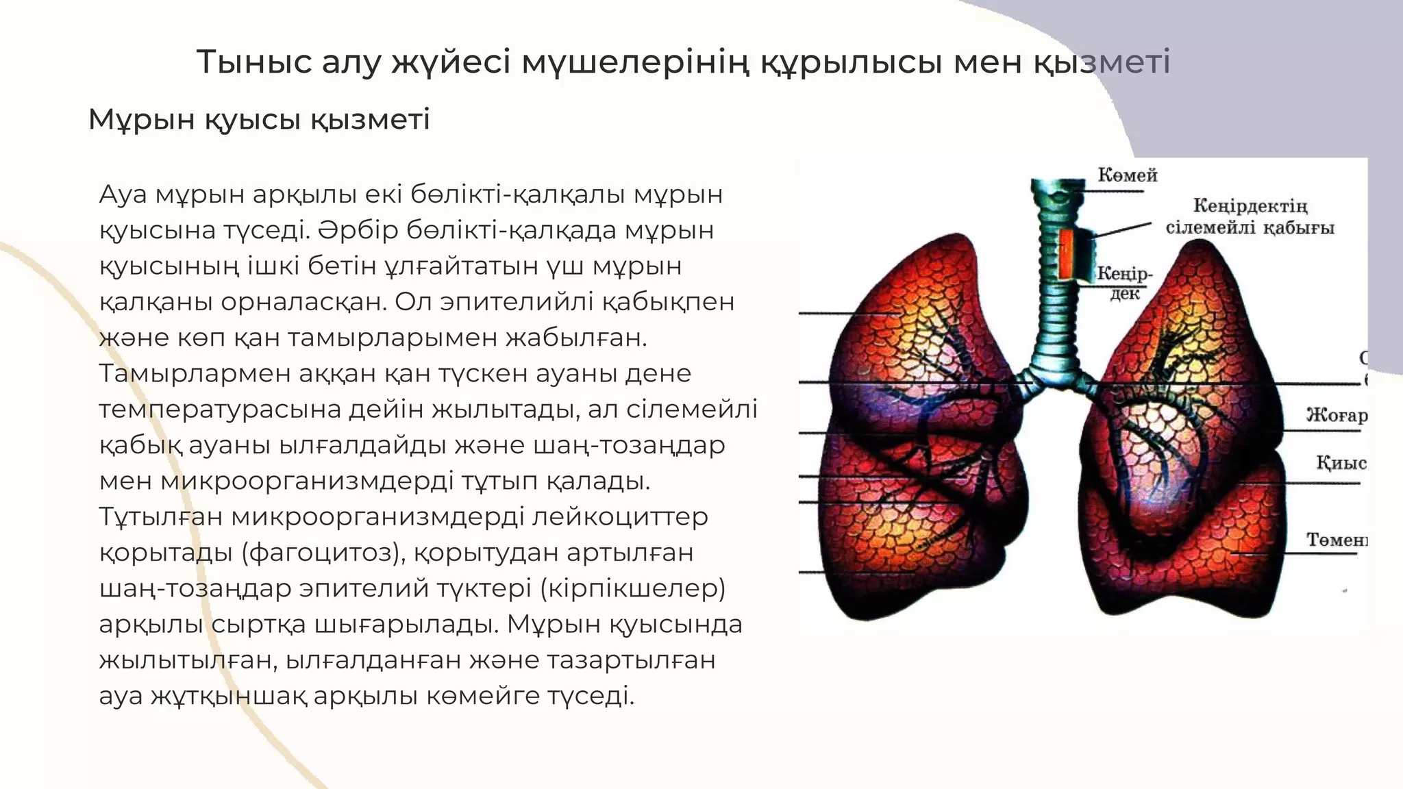 Кириенко теңіз алқасының мүшесі