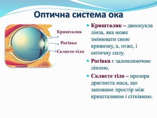 око і зір.pptx