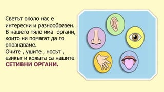 Светът около нас е
интересни и разнообразен.
В нашето тяло има органи,
които ни помагат да го
опознаваме.
Очите , ушите , носът ,
езикът и кожата са нашите
СЕТИВНИ ОРГАНИ.
 