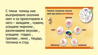С тяхна помощ ние
възприемаме околния
свят и се ориентираме в
него – виждаме , чуваме,
усещаме миризми ,
различаваме вкусове ,
усещаме гладко ,
грапаво , меко , твърдо,
топлина и студ.
 