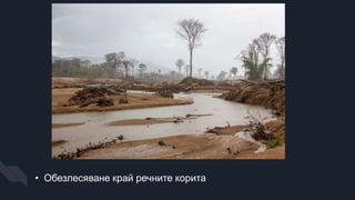 • Обезлесяване край речните корита
 