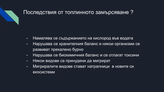 Последствия от топлинното замърсяване ?
- Намалява се съдържанието на кислород във водата
- Нарушава се хранителния баланс и някои организми се
развиват прекалено бурно
- Нарушава се биохимичния баланс и се отлагат токсини
- Някои видове са принудени да мигрират
- Мигриралите видове стават натрапници в новите си
екосистеми
 