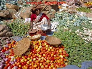 სოფლის მეურნეობა
 