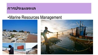 การประมงทะเล
•Marine Resources Management
 