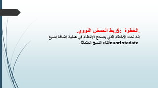 .
‫الخطوة‬
5:
‫ربط‬
‫الحمض‬
‫النووي‬
.
‫إنه‬
‫نحت‬
‫األخطاء‬
‫الذي‬
‫يصحح‬
‫األخطاء‬
‫في‬
‫عملية‬
‫إضافة‬
‫إصبع‬
nuoclotedate
‫أثناء‬
‫النسخ‬
‫المتماثل‬
.
 