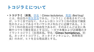 まつげシラミの誤診