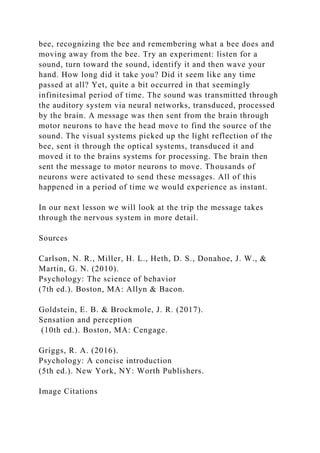 . Processes in perception.ASSIGNMENT 300 WORDS MINIMUM.docx