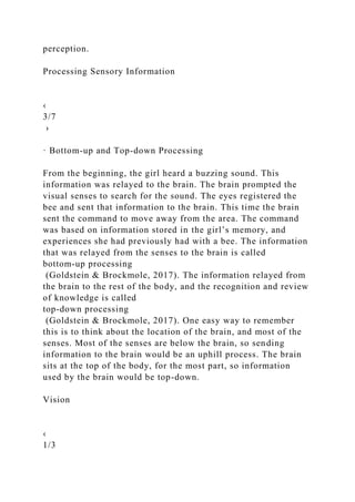 . Processes in perception.ASSIGNMENT 300 WORDS MINIMUM.docx