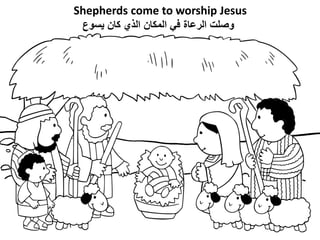 Shepherds come to worship Jesus
‫يسوع‬ ‫كان‬ ‫الذي‬ ‫المكان‬ ‫في‬ ‫الرعاة‬ ‫وصلت‬
 