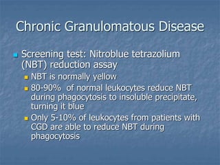 Chronic Granulomatous Disease
 Screening test: Nitroblue tetrazolium
(NBT) reduction assay
 NBT is normally yellow
 80-90% of normal leukocytes reduce NBT
during phagocytosis to insoluble precipitate,
turning it blue
 Only 5-10% of leukocytes from patients with
CGD are able to reduce NBT during
phagocytosis
 