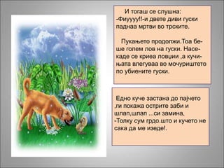 И тогаш се слушна:
-Фиуууу!!-и двете диви гуски
паднаа мртви во трските.
Пукањето продолжи.Тоа бе-
ше голем лов на гуски. Насе-
каде се криеа ловџии ,а кучи-
њата влегуваа во мочуриштето
по убиените гуски.
Едно куче застана до пајчето
,ги покажа острите заби и
шлап,шлап ...си замина,
-Толку сум грдо.што и кучето не
сака да ме изеде!.
 