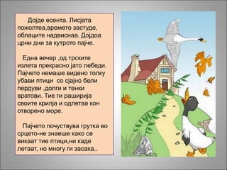 Дојде есента. Лисјата
пожолтеа,времето застуде,
облаците надвиснаа. Дојдоа
црни дни за кутрото пајче.
Една вечер ,од трските
излета прекрасно јато лебеди.
Пајчето немаше видено толку
убави птици со сјајно бели
пердуви ,долги и тенки
вратови. Тие ги раширија
своите крилја и одлетаа кон
отворено море.
Пајчето почуствува грутка во
срцето-не знаеше како се
викаат тие птици,ни каде
летаат, но многу ги засака..
 