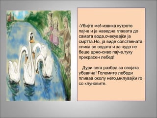 -Убијте ме!-извика кутрото
пајче и ја наведна главата до
самата вода,очекувајќи ја
смртта.Но, ја виде сопствената
слика во водата и за чудо не
беше црно-сиво пајче,туку
прекрасен лебед!
Дури сега разбра за својата
убавина! Големите лебеди
пливаа околу него,милувајќи го
со клуновите.
 
