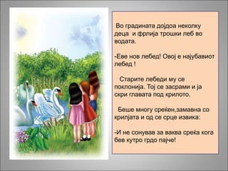 Во градината дојдоа неколку
деца и фрлија трошки леб во
водата.
-Еве нов лебед! Овој е најубавиот
лебед !
Старите лебеди му се
поклонија. Тој се засрами и ја
скри главата под крилото.
Беше многу среќен,замавна со
крилјата и од се срце извика:
-И не сонував за ваква среќа кога
бев кутро грдо пајче!
 