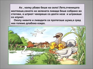 Ах , колку убаво беше на село! Лето,пченицата
жолтееше,сеното на зелената ливада беше собрано во
стогови, а штркот чекореше со долги нозе и штракаше
со клунот.
Околу нивите и ливадите се протегаше шума,а сред
неа големо длабоко езеро.
 