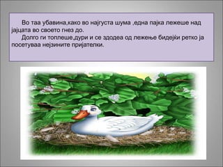 Во таа убавина,како во најгуста шума ,една пајка лежеше над
јајцата во своето гнез до.
Долго ги топлеше,дури и се здодеа од лежење бидејќи ретко ја
посетуваа нејзините пријателки.
 