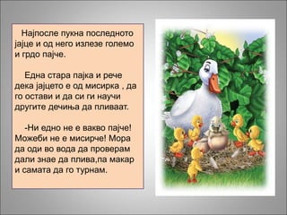 Најпосле пукна последното
јајце и од него излезе големо
и грдо пајче.
Една стара пајка и рече
дека јајцето е од мисирка , да
го остави и да си ги научи
другите дечиња да пливаат.
-Ни едно не е вакво пајче!
Можеби не е мисирче! Мора
да оди во вода да проверам
дали знае да плива,па макар
и самата да го турнам.
 