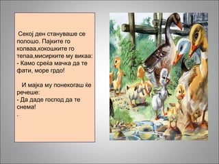 Секој ден стануваше се
полошо. Пајките го
колваа,кокошките го
тепаа,мисирките му викаа:
- Камо среќа мачка да те
фати, море грдо!
И мајка му понекогаш ќе
речеше:
- Да даде господ да те
снема!
.
 