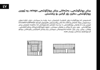 ١٠١شت لەبەشی تەلارسازی فێریان بووم