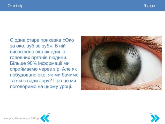 Око і зір. Проєкт 9 клас | PPT