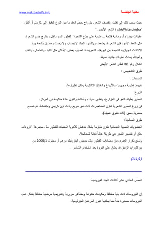 الأمراض الجلدية للأطفال.pdf