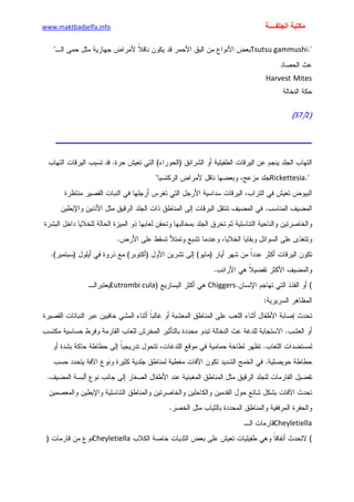 الأمراض الجلدية للأطفال.pdf