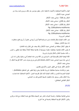 الأمراض الجلدية للأطفال.pdf