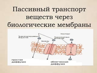 Пассивный транспорт
веществ через
биологические мембраны
 